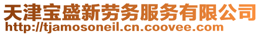 天津?qū)毷⑿聞趧?wù)服務(wù)有限公司