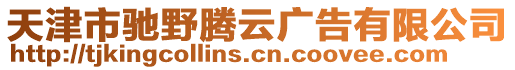 天津市馳野騰云廣告有限公司