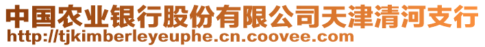 中國農(nóng)業(yè)銀行股份有限公司天津清河支行