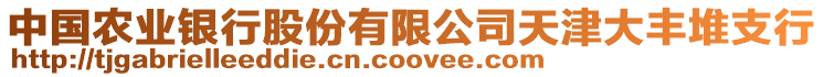中國農業銀行股份有限公司天津大豐堆支行