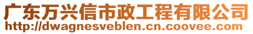 廣東萬興信市政工程有限公司