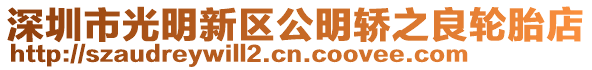 深圳市光明新區公明轎之良輪胎店