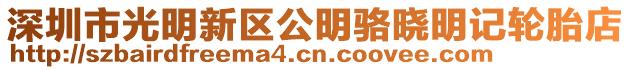 深圳市光明新區(qū)公明駱曉明記輪胎店