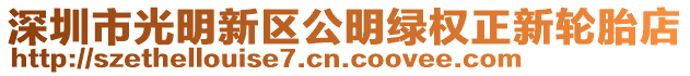 深圳市光明新區(qū)公明綠權正新輪胎店