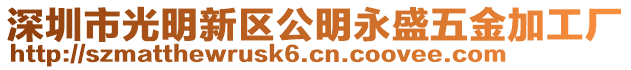 深圳市光明新區(qū)公明永盛五金加工廠