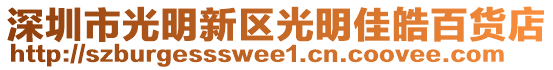 深圳市光明新區(qū)光明佳皓百貨店