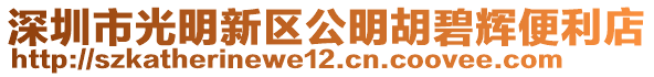 深圳市光明新區公明胡碧輝便利店