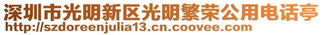 深圳市光明新區光明繁榮公用電話亭