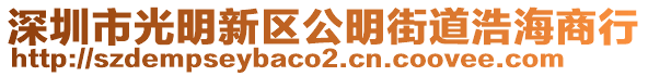 深圳市光明新區公明街道浩海商行