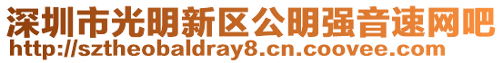 深圳市光明新區公明強音速網吧