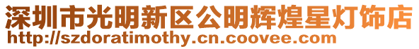 深圳市光明新區(qū)公明輝煌星燈飾店