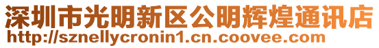 深圳市光明新區公明輝煌通訊店