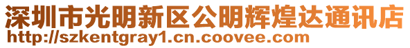 深圳市光明新區(qū)公明輝煌達通訊店