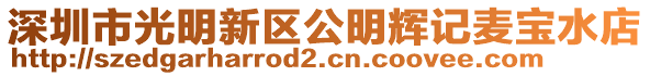 深圳市光明新區(qū)公明輝記麥寶水店