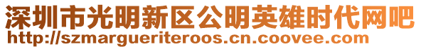 深圳市光明新區公明英雄時代網吧