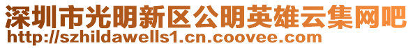 深圳市光明新區公明英雄云集網吧