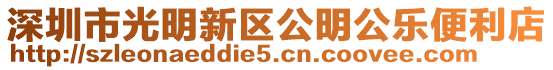 深圳市光明新區(qū)公明公樂(lè)便利店
