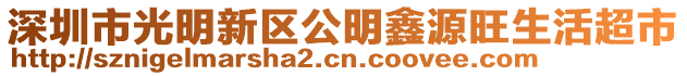 深圳市光明新區公明鑫源旺生活超市