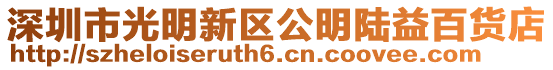 深圳市光明新區(qū)公明陸益百貨店