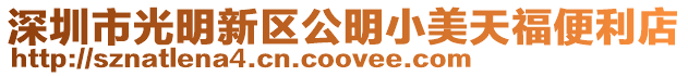 深圳市光明新區公明小美天福便利店