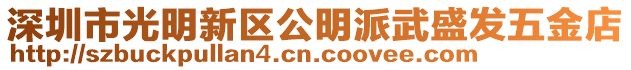深圳市光明新區(qū)公明派武盛發(fā)五金店