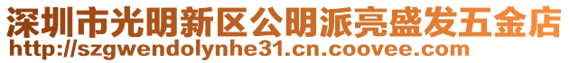 深圳市光明新區(qū)公明派亮盛發(fā)五金店