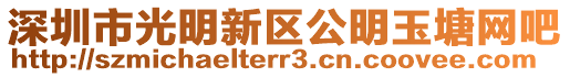 深圳市光明新區(qū)公明玉塘網(wǎng)吧