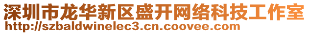 深圳市龍華新區(qū)盛開網(wǎng)絡(luò)科技工作室
