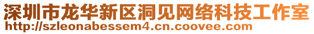 深圳市龍華新區洞見網絡科技工作室