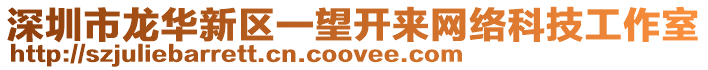 深圳市龍華新區(qū)一望開來網(wǎng)絡(luò)科技工作室
