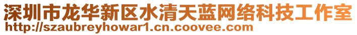 深圳市龍華新區(qū)水清天藍網(wǎng)絡科技工作室