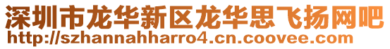 深圳市龍華新區龍華思飛揚網吧
