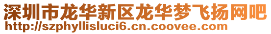 深圳市龍華新區(qū)龍華夢(mèng)飛揚(yáng)網(wǎng)吧