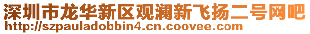 深圳市龍華新區觀瀾新飛揚二號網吧