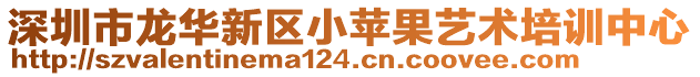 深圳市龍華新區(qū)小蘋果藝術(shù)培訓中心