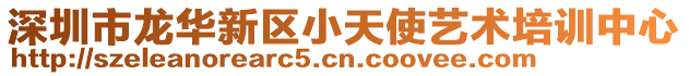 深圳市龍華新區(qū)小天使藝術(shù)培訓中心