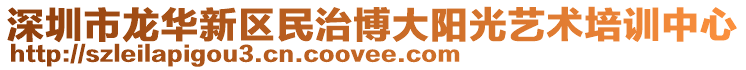 深圳市龍華新區(qū)民治博大陽光藝術(shù)培訓(xùn)中心