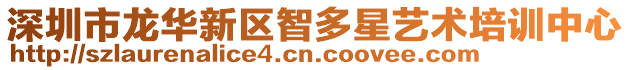 深圳市龍華新區智多星藝術培訓中心