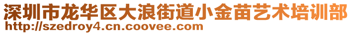 深圳市龍華區(qū)大浪街道小金苗藝術培訓部