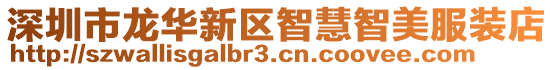 深圳市龍華新區智慧智美服裝店