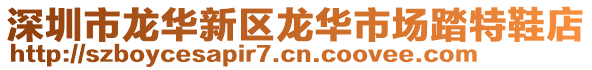 深圳市龍華新區(qū)龍華市場踏特鞋店