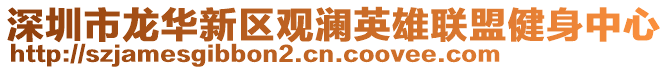 深圳市龍華新區(qū)觀瀾英雄聯(lián)盟健身中心