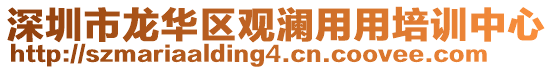深圳市龍華區觀瀾用用培訓中心