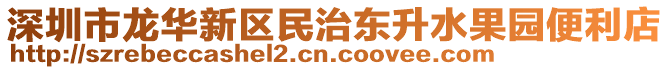 深圳市龍華新區民治東升水果園便利店