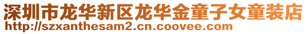 深圳市龍華新區龍華金童子女童裝店