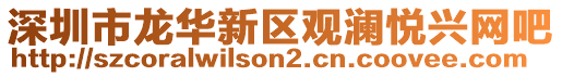 深圳市龍華新區(qū)觀瀾悅興網(wǎng)吧