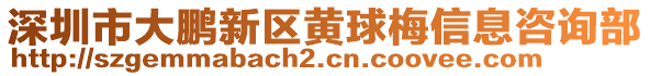 深圳市大鵬新區(qū)黃球梅信息咨詢部