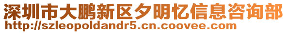 深圳市大鵬新區夕明憶信息咨詢部