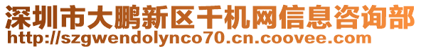 深圳市大鵬新區千機網信息咨詢部
