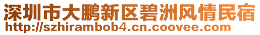深圳市大鵬新區(qū)碧洲風(fēng)情民宿